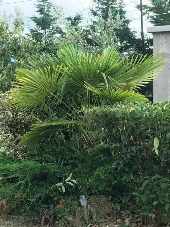 Villa Casa dei fiori Asprovalta Esterno foto