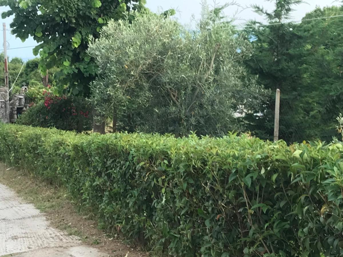 Villa Casa dei fiori Asprovalta Esterno foto